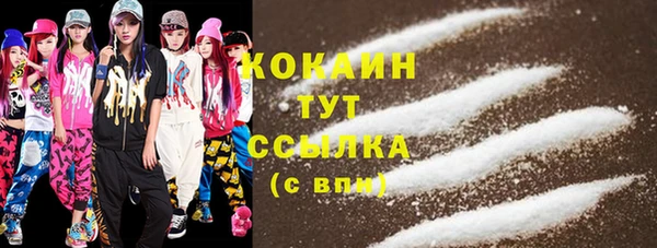 молекула духа Алексеевка