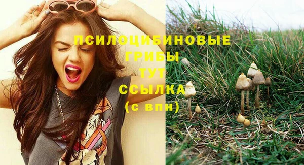 шишки Алексин