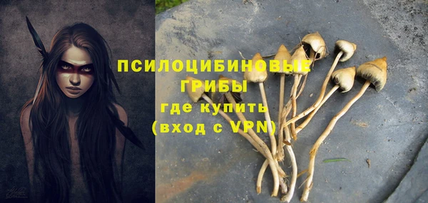 шишки Алексин